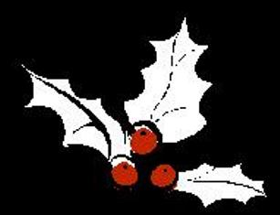 holly