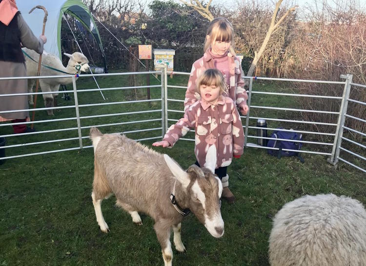 gorleston magdalen nativity animals 
