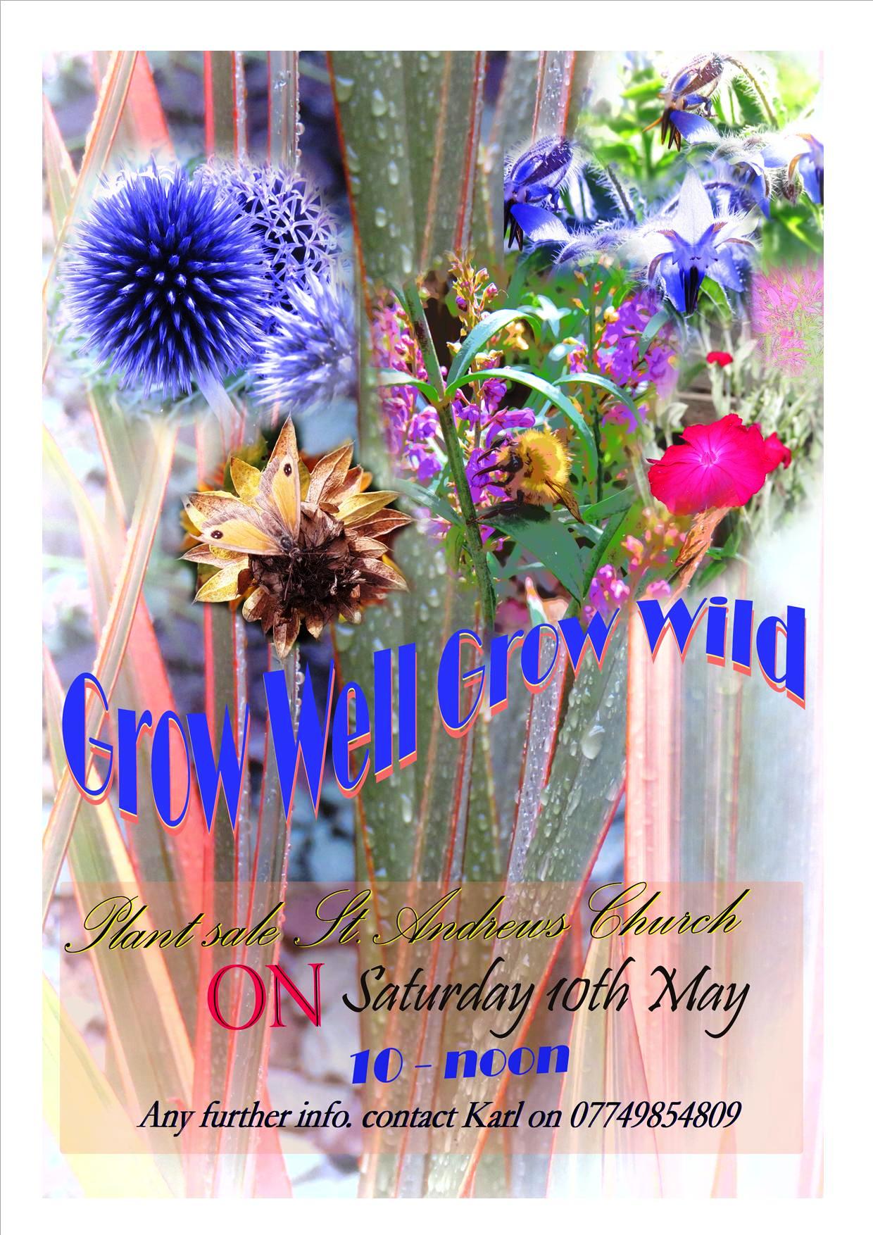PLANT SALE 05-2025