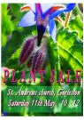 Bee Kind Plant Sale at St Andrew's, Gorleston
